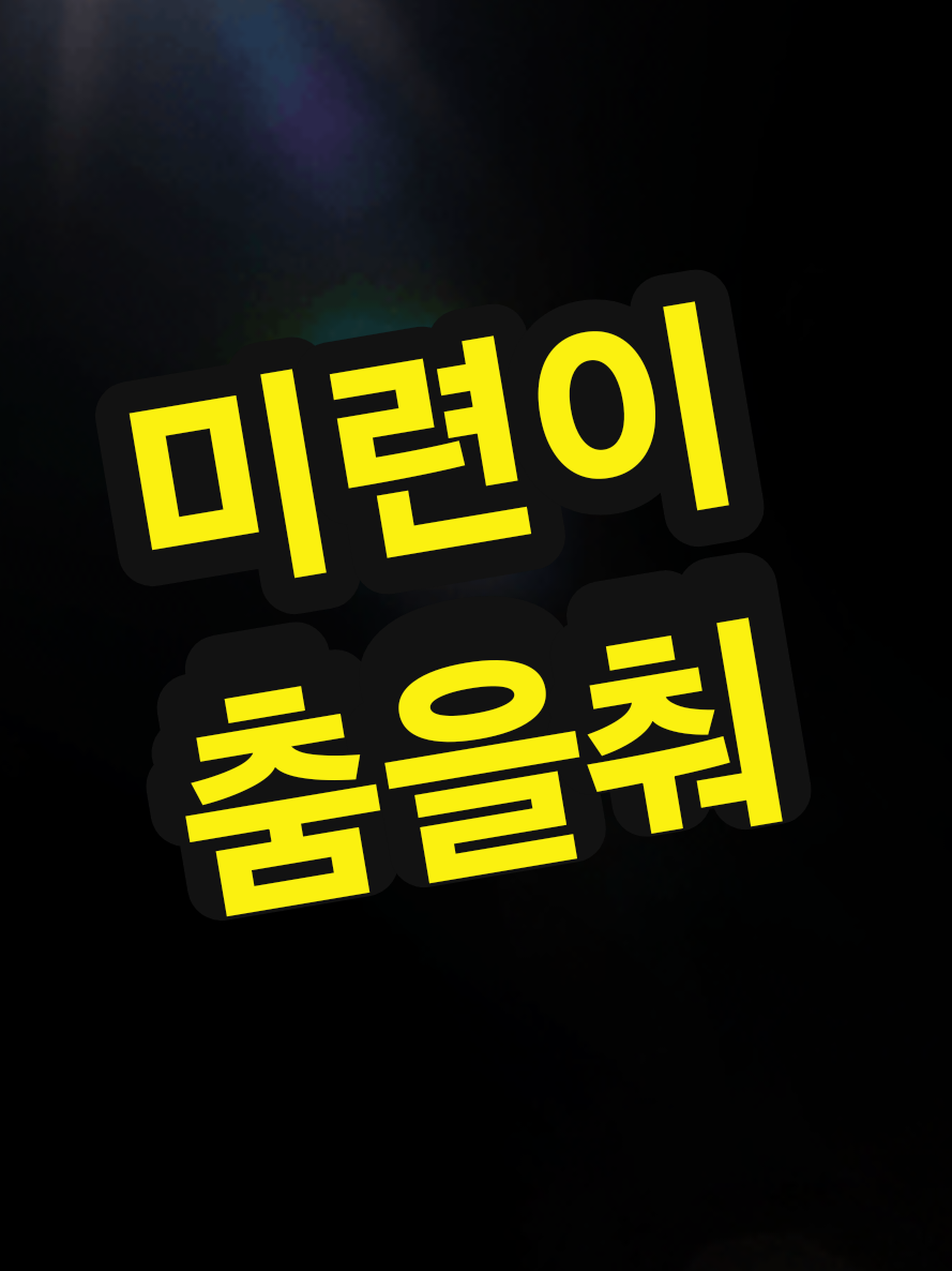 @틱톡왕비