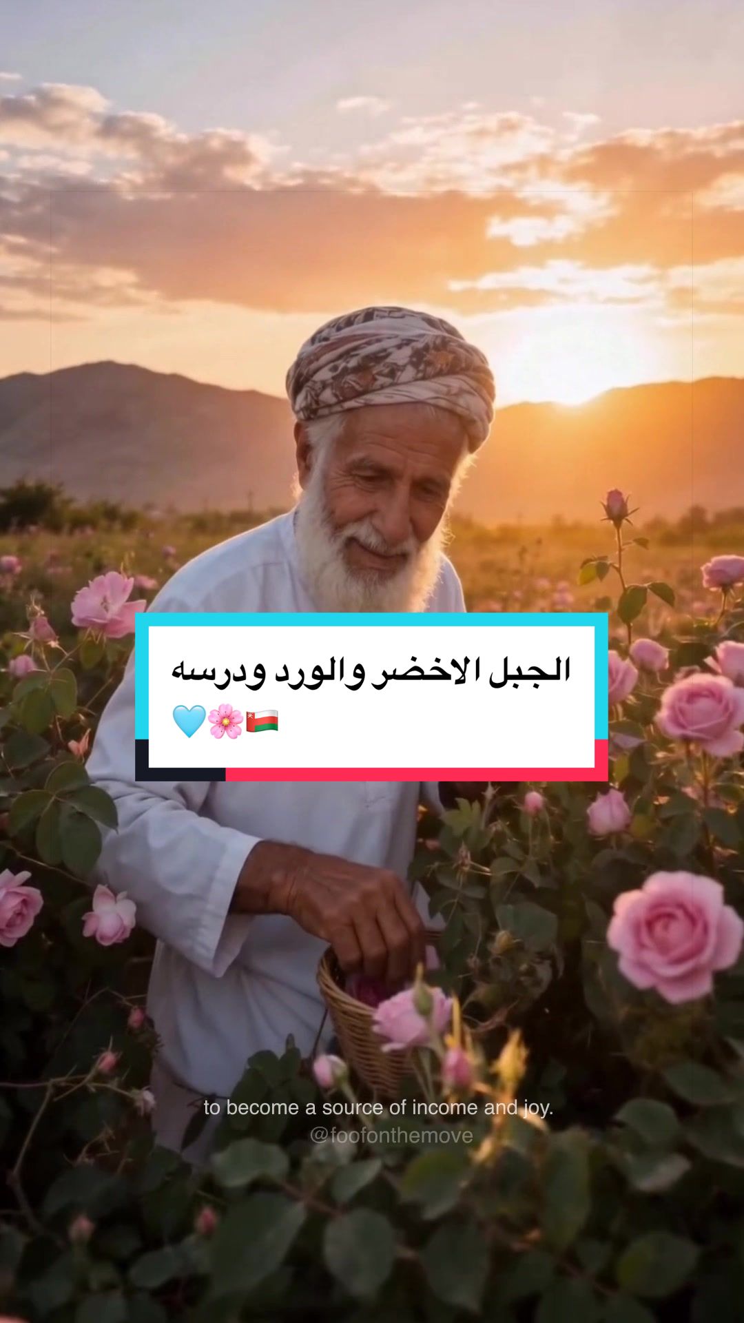 @Wafaa