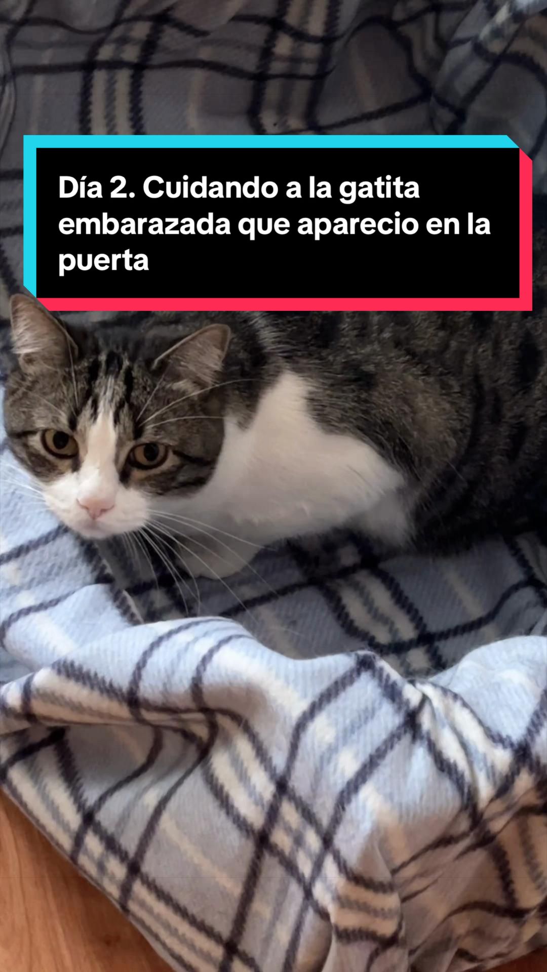 @Ximena con X