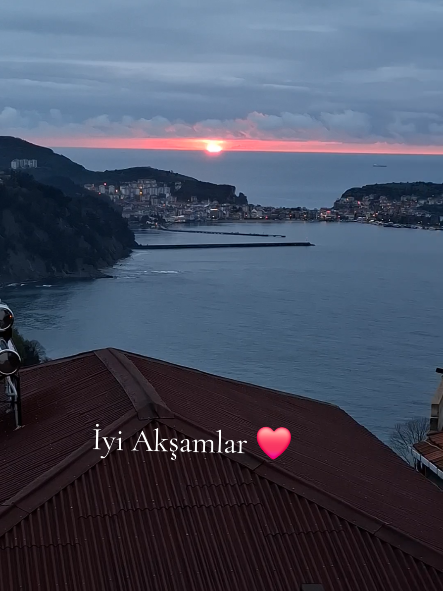 @Ayşegülgünter