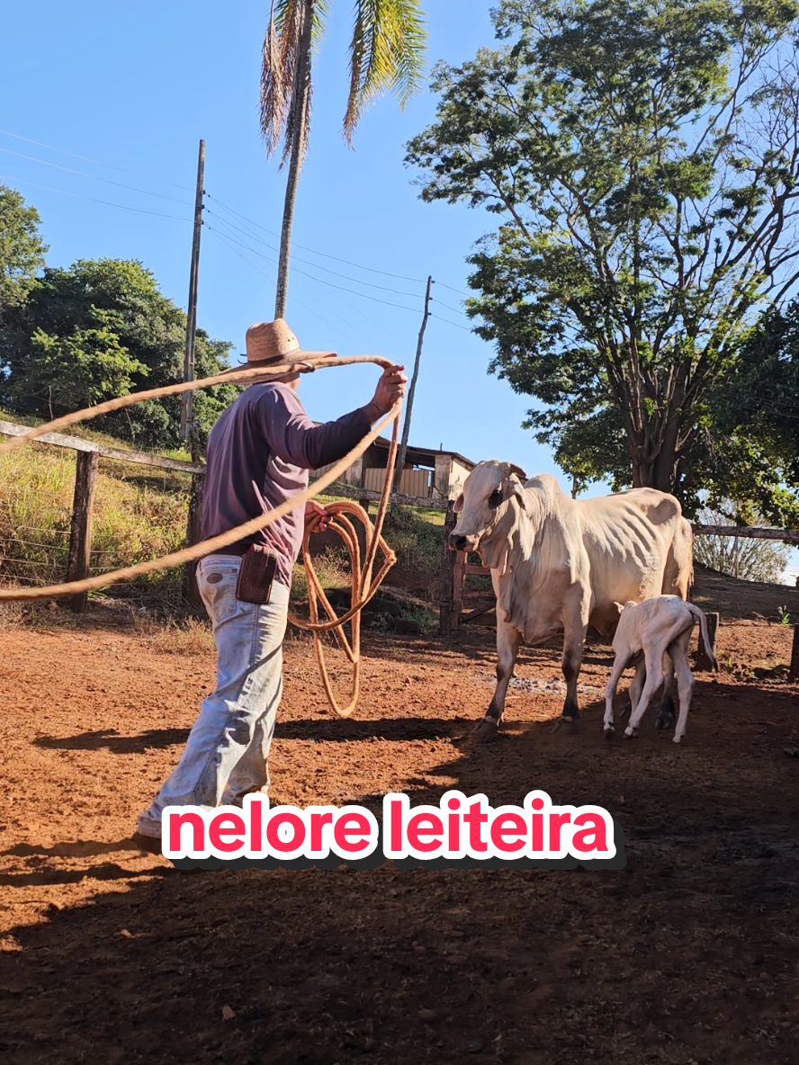 @Geovane neto