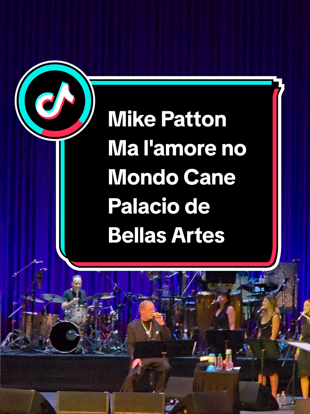 @Melomano Conciertero