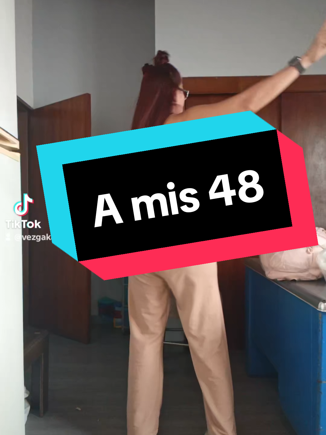 @vezgakarin