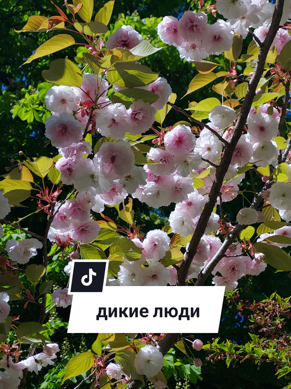 @Рыся✔️🇧🇾