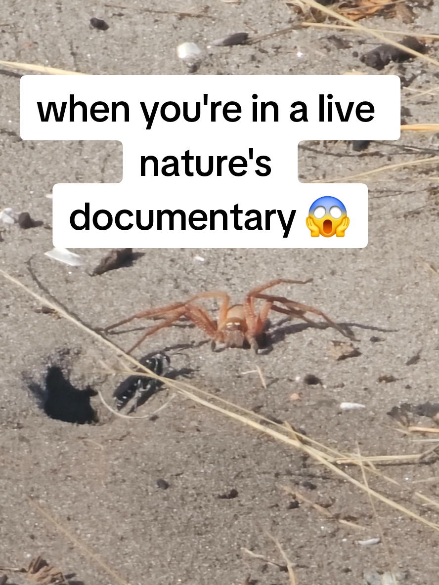 @wetravelslow