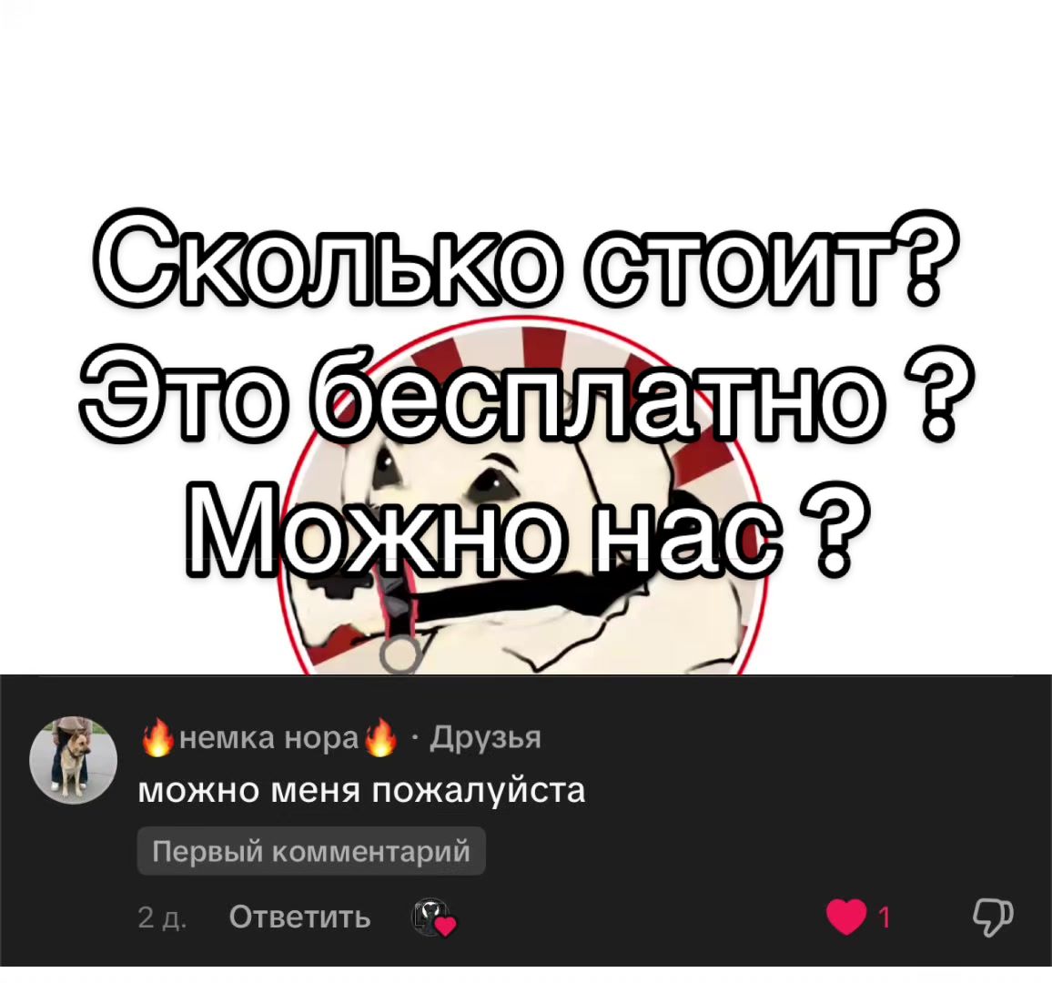 @Пере,это Рекс!🗯️