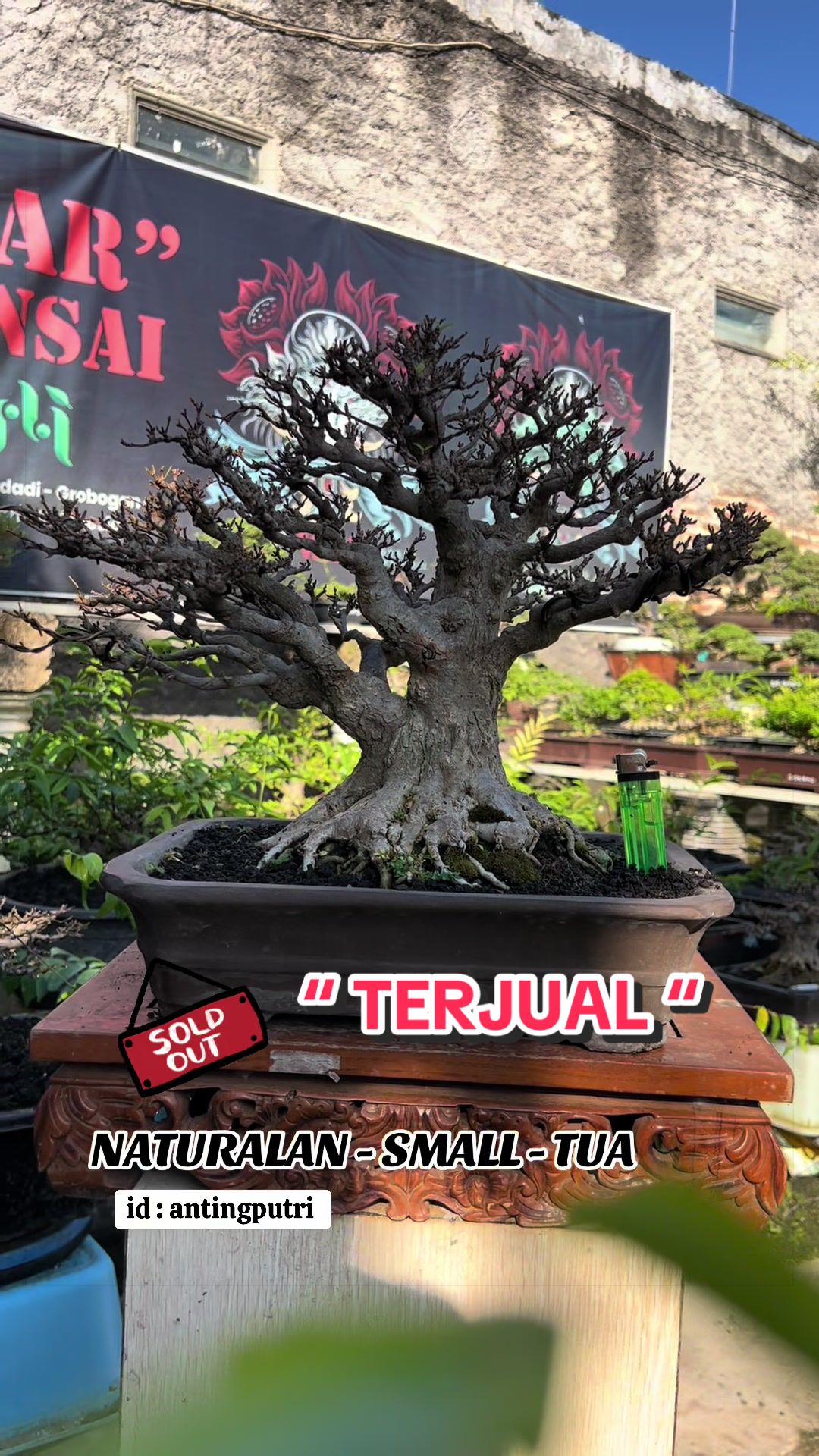 @warbonsai_purwodadi