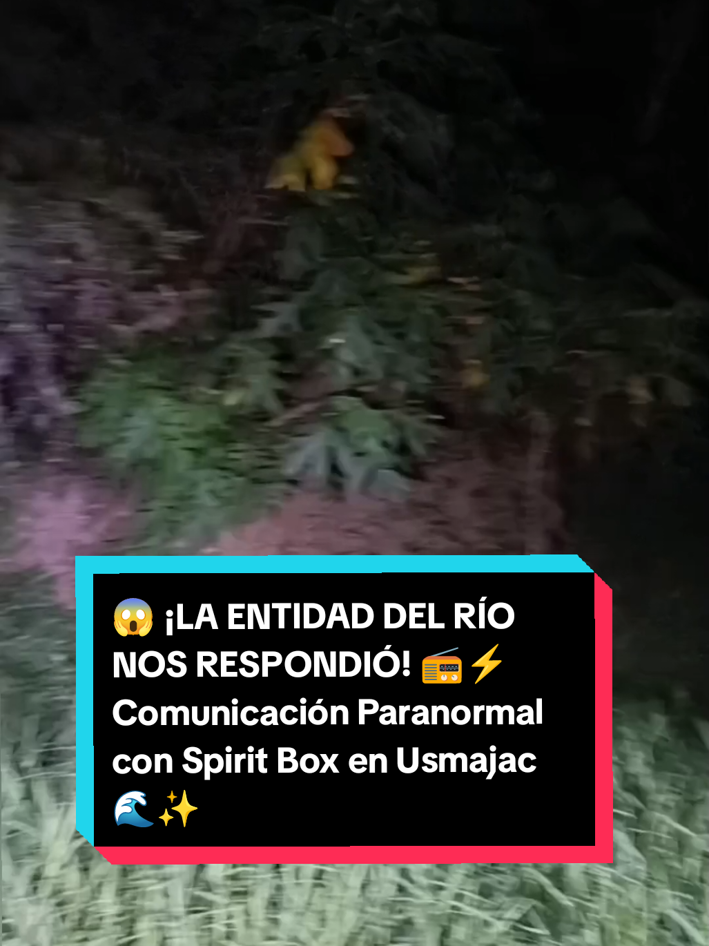 @YORYITUBE OFICIAL