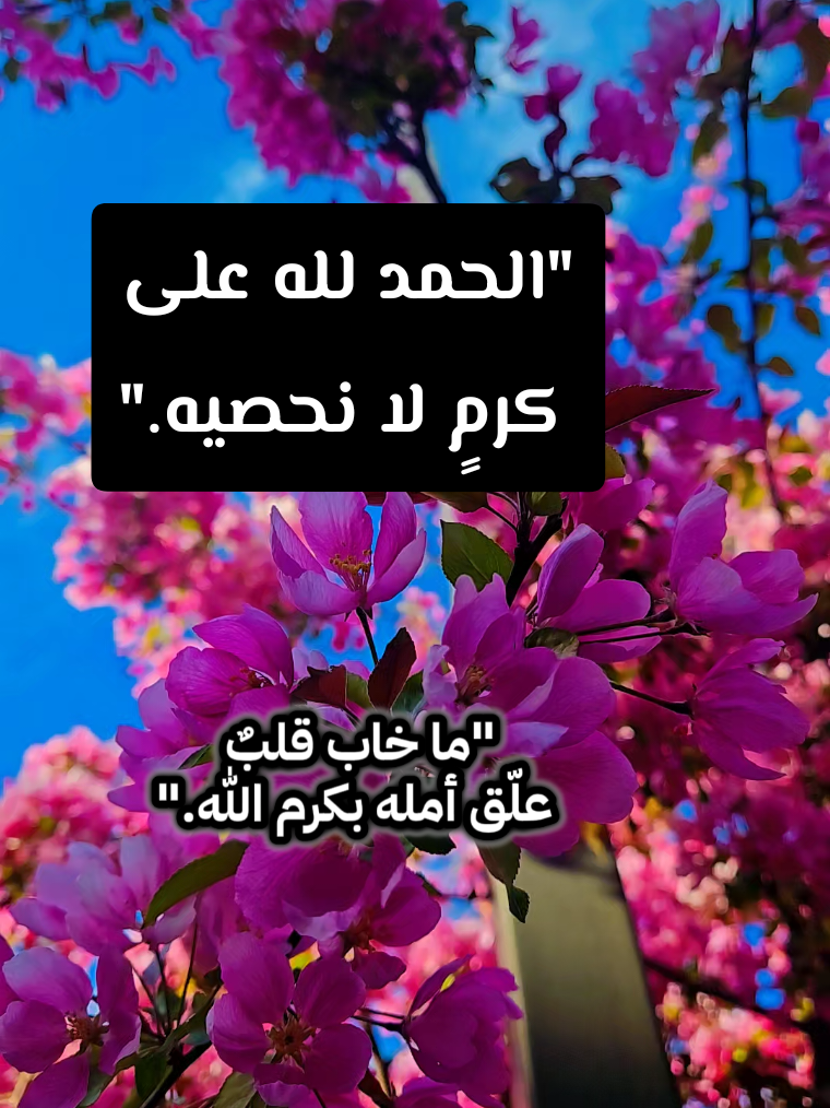 @🍃🌸Tahani Khafas🌸🍃