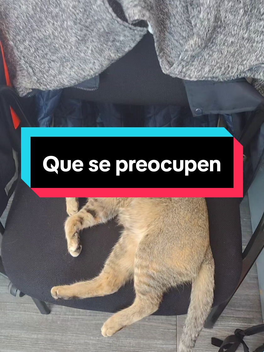 @Los MoyiKary Oficial