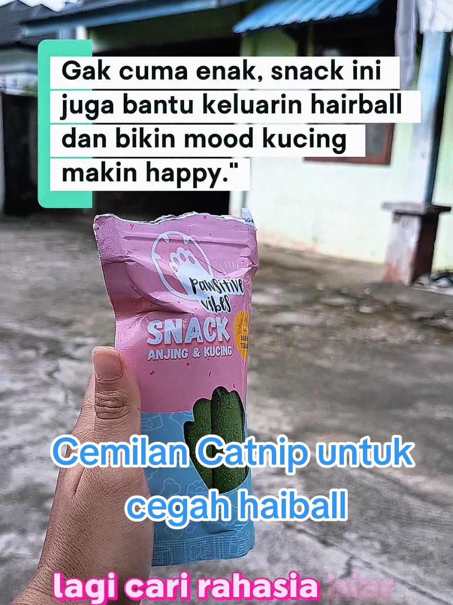 @Medayo Petcare