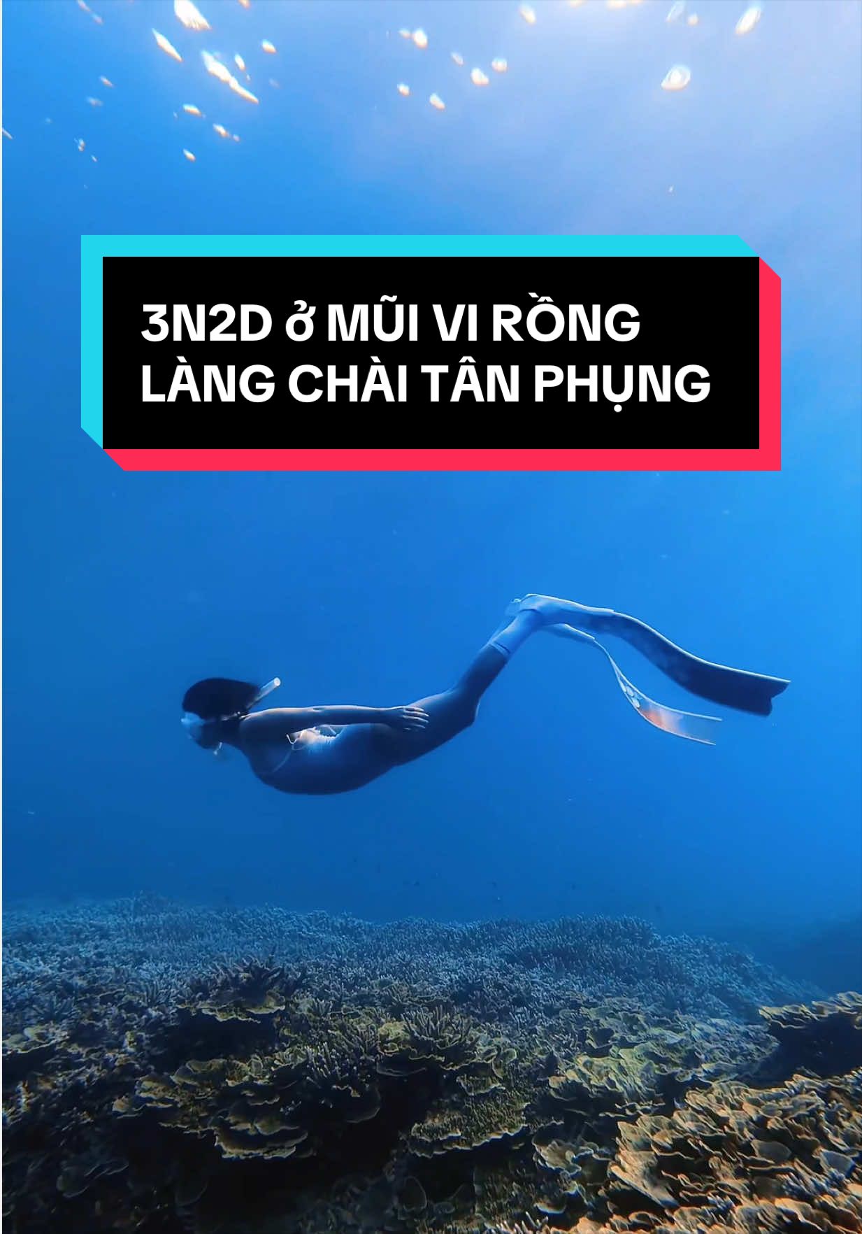 @Tui Sập n&egrave; !