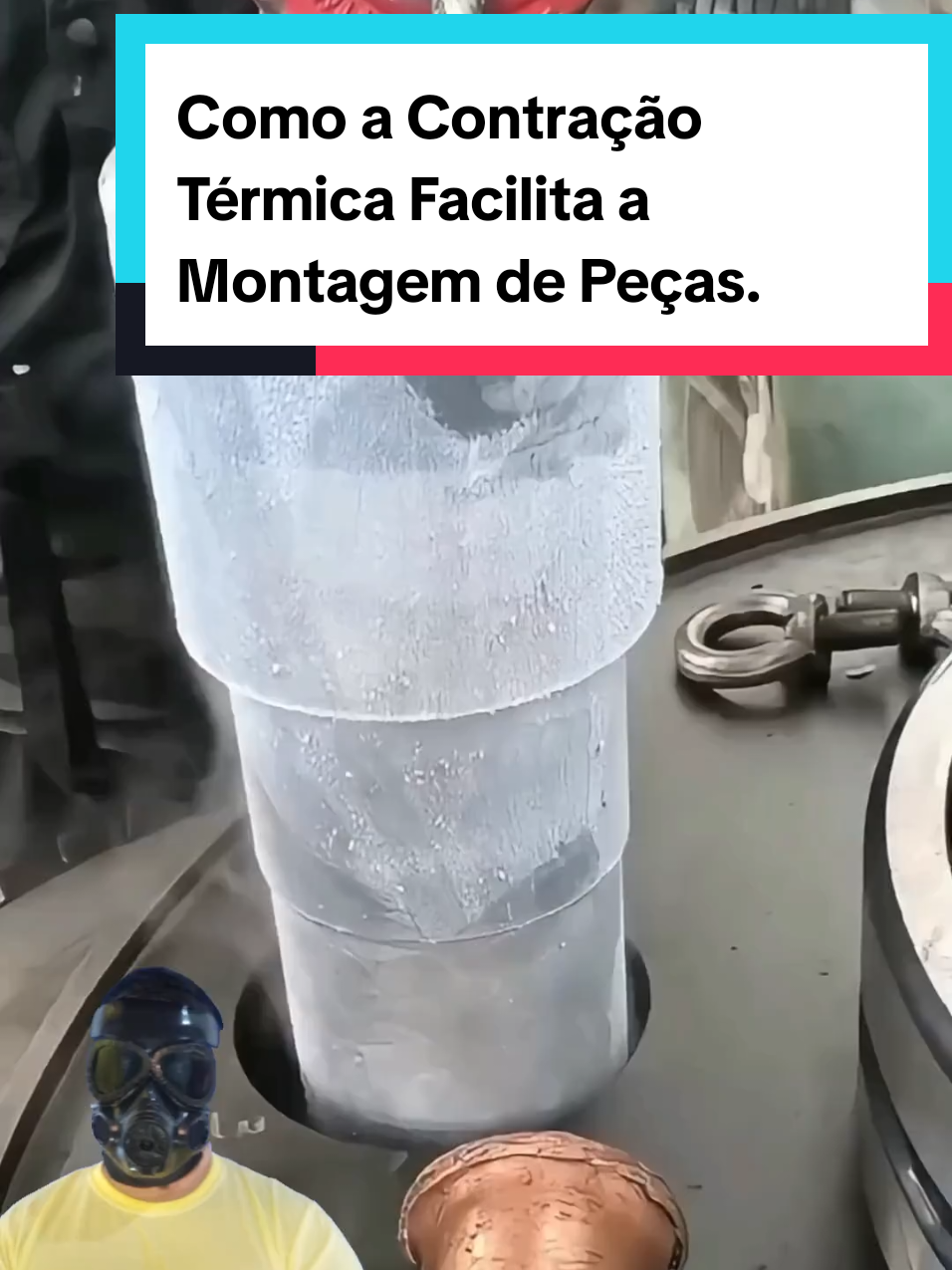 @Mundo da Curiosidades
