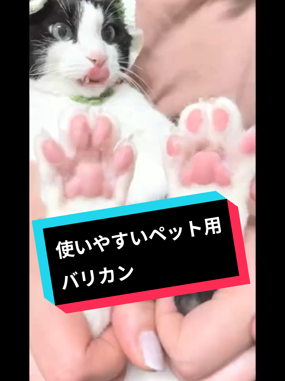 @TTS🌈MUKKU【本垢】