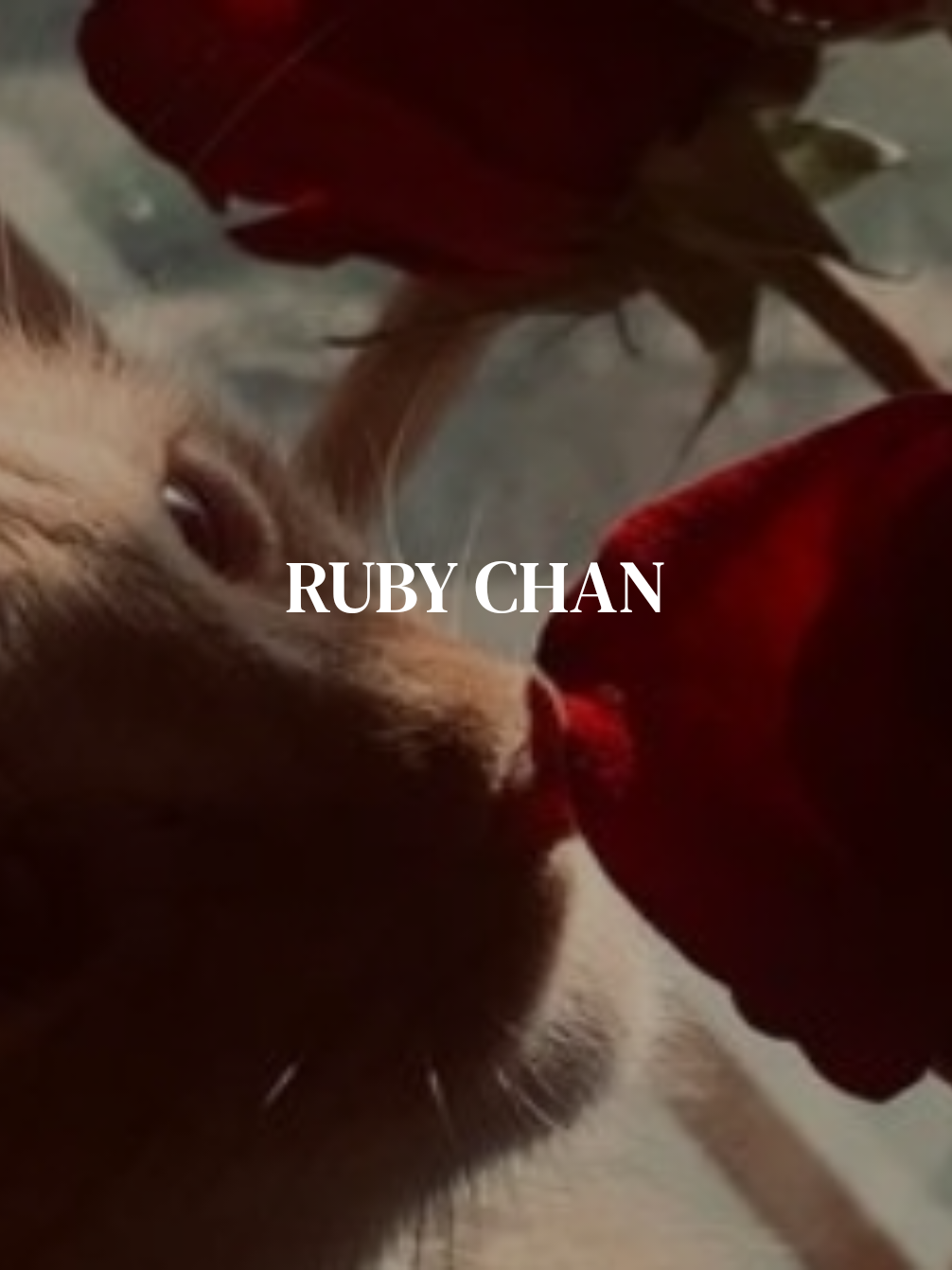 @❦ 𝐀𝐮𝐬𝐭𝐞𝐥