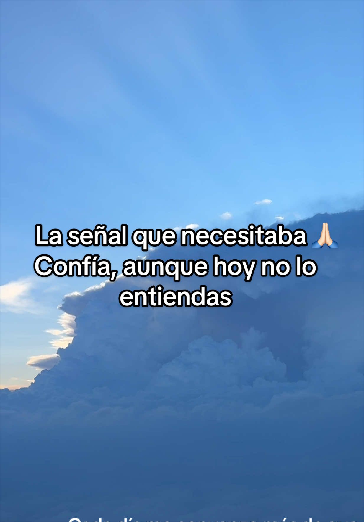 @Priscilla ZV