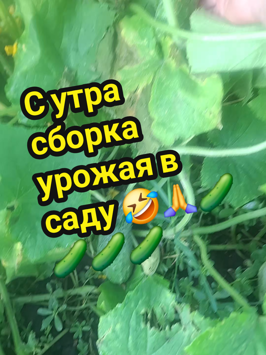 @💃Суперпуперсвета💘