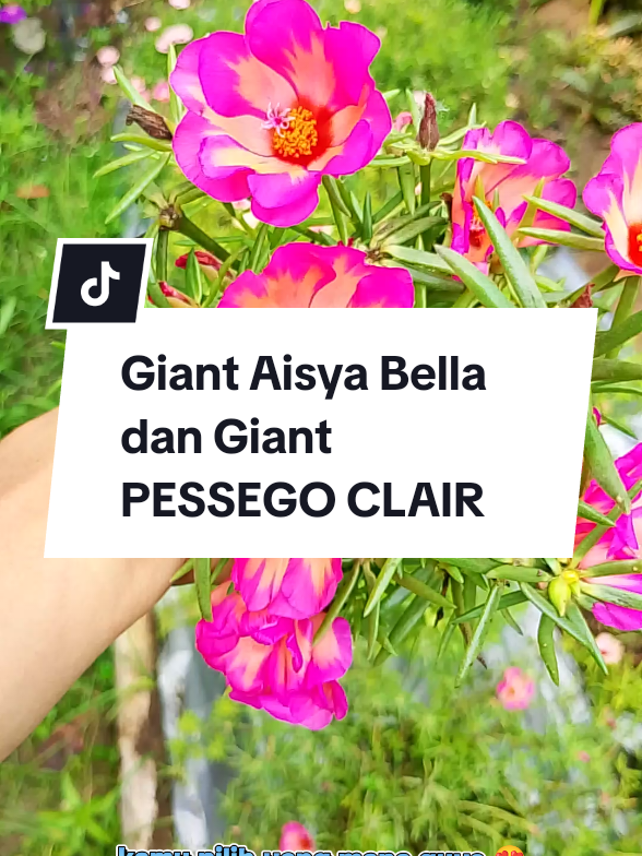 @Husna Florist