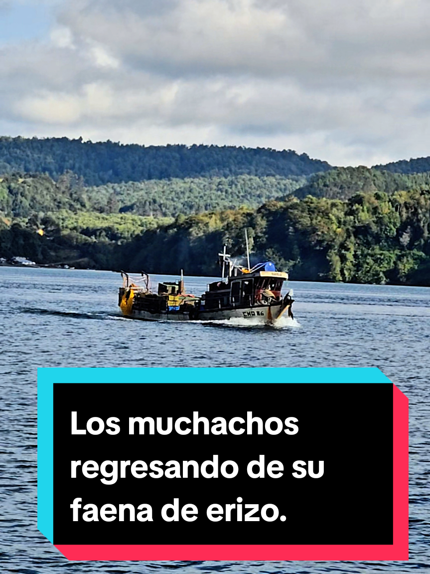 @jorge_el_chilote