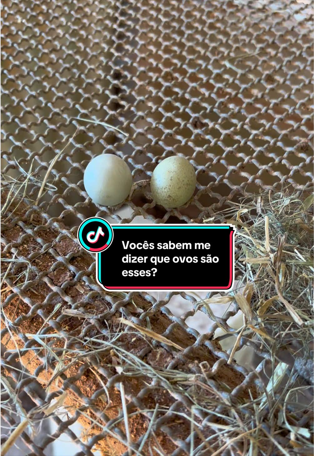 @Antonia Sousa