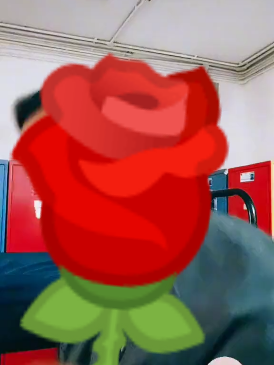 @adi