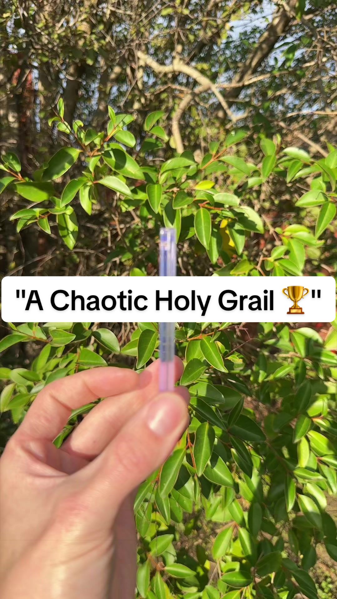 @Chaotic-Kanga