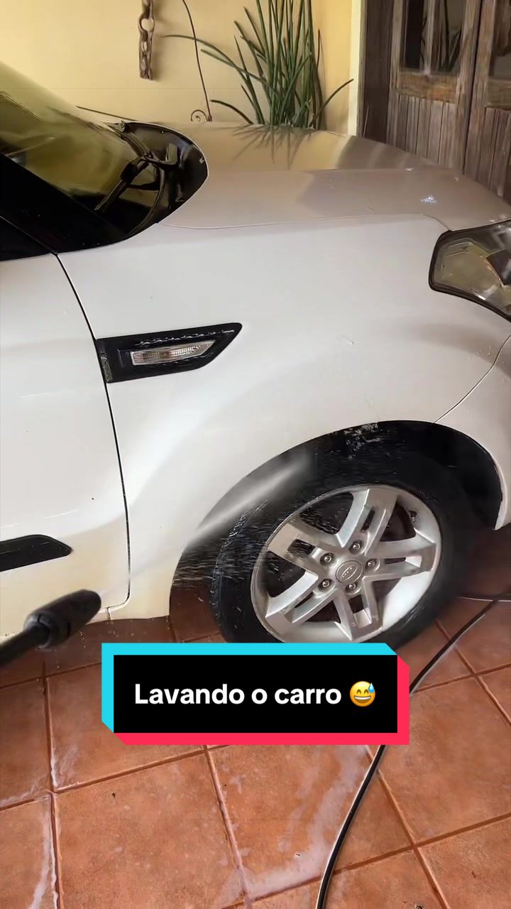 @Mariana Lemos