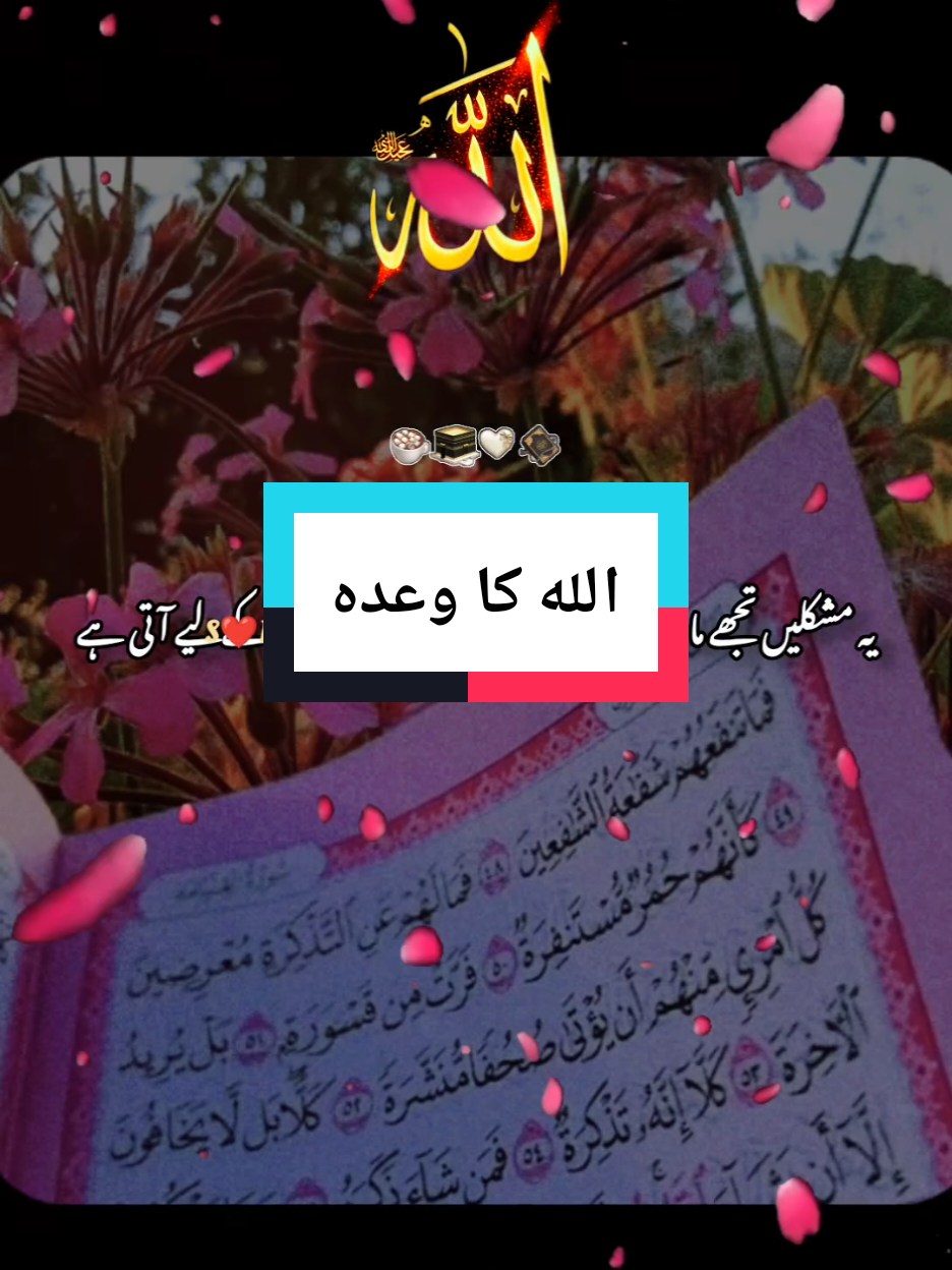 @❤️ S Roshani, M❤️