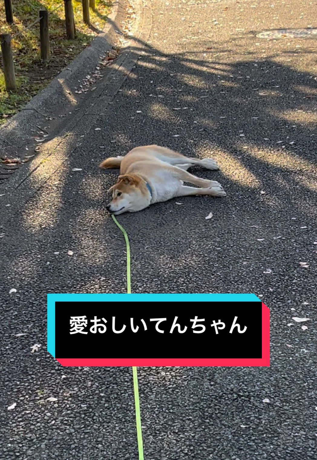 @てんくう