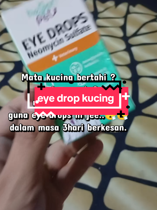 @Aina90