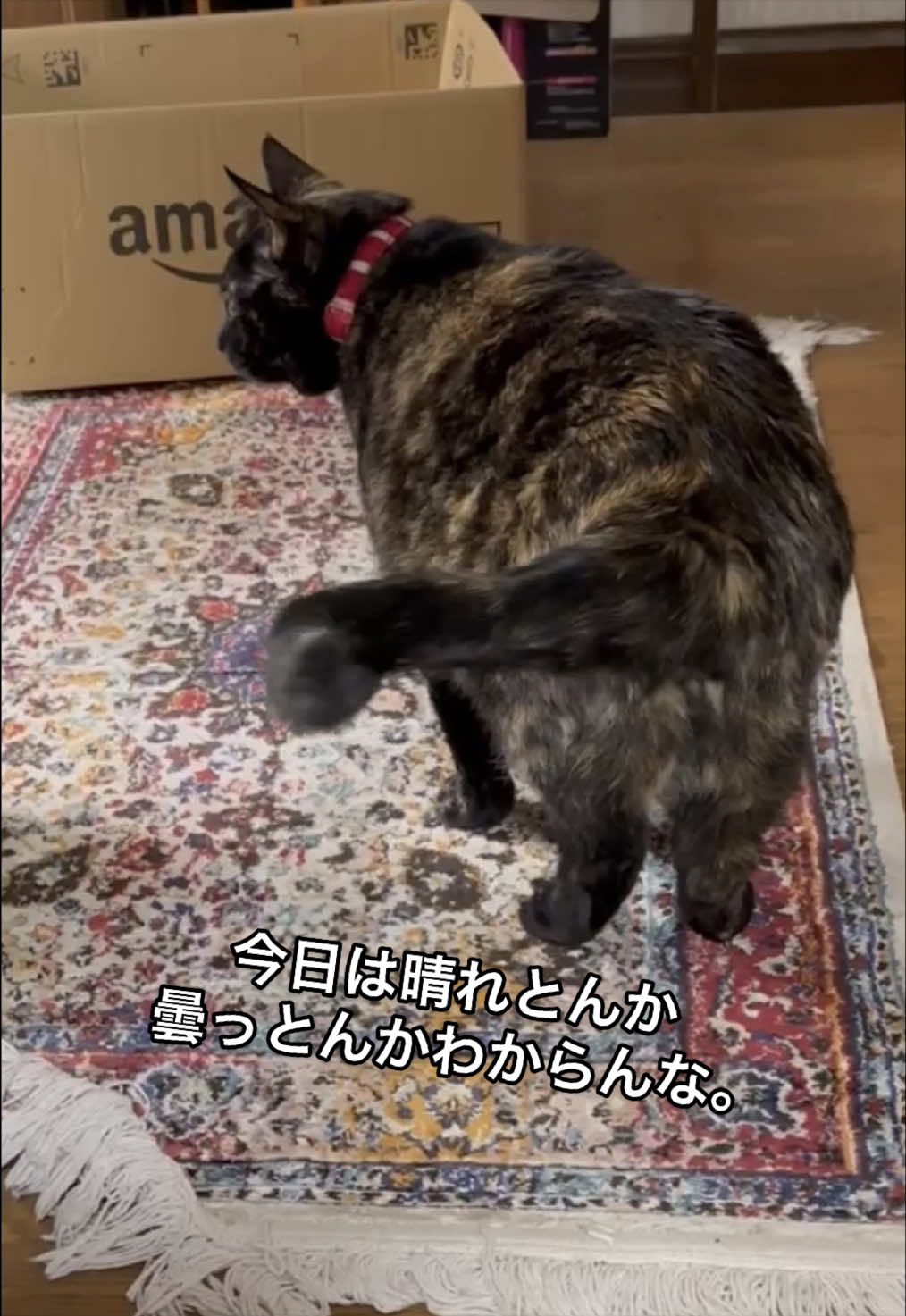 @聴々物語PROJECT