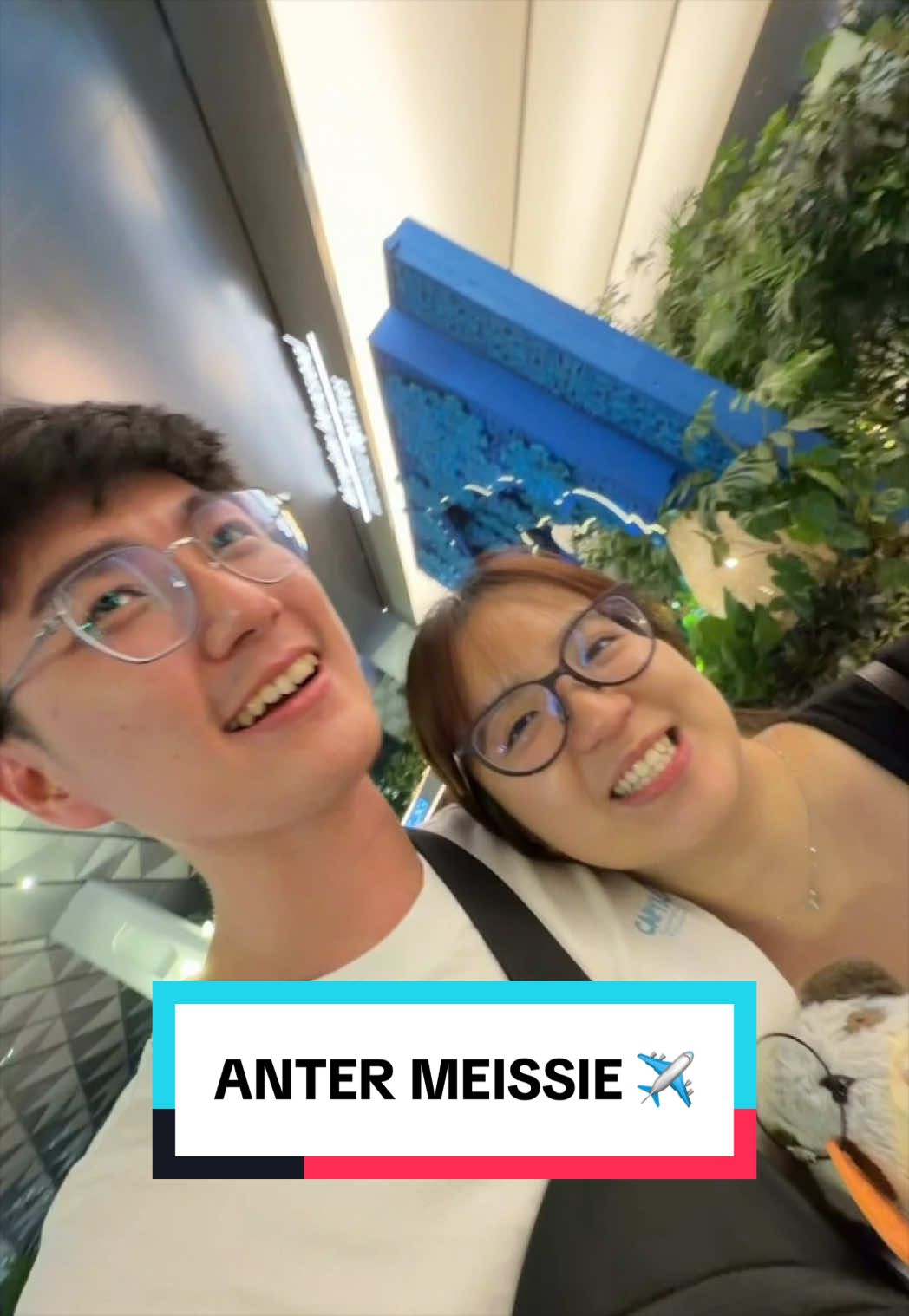 @MeissieNyaDodo