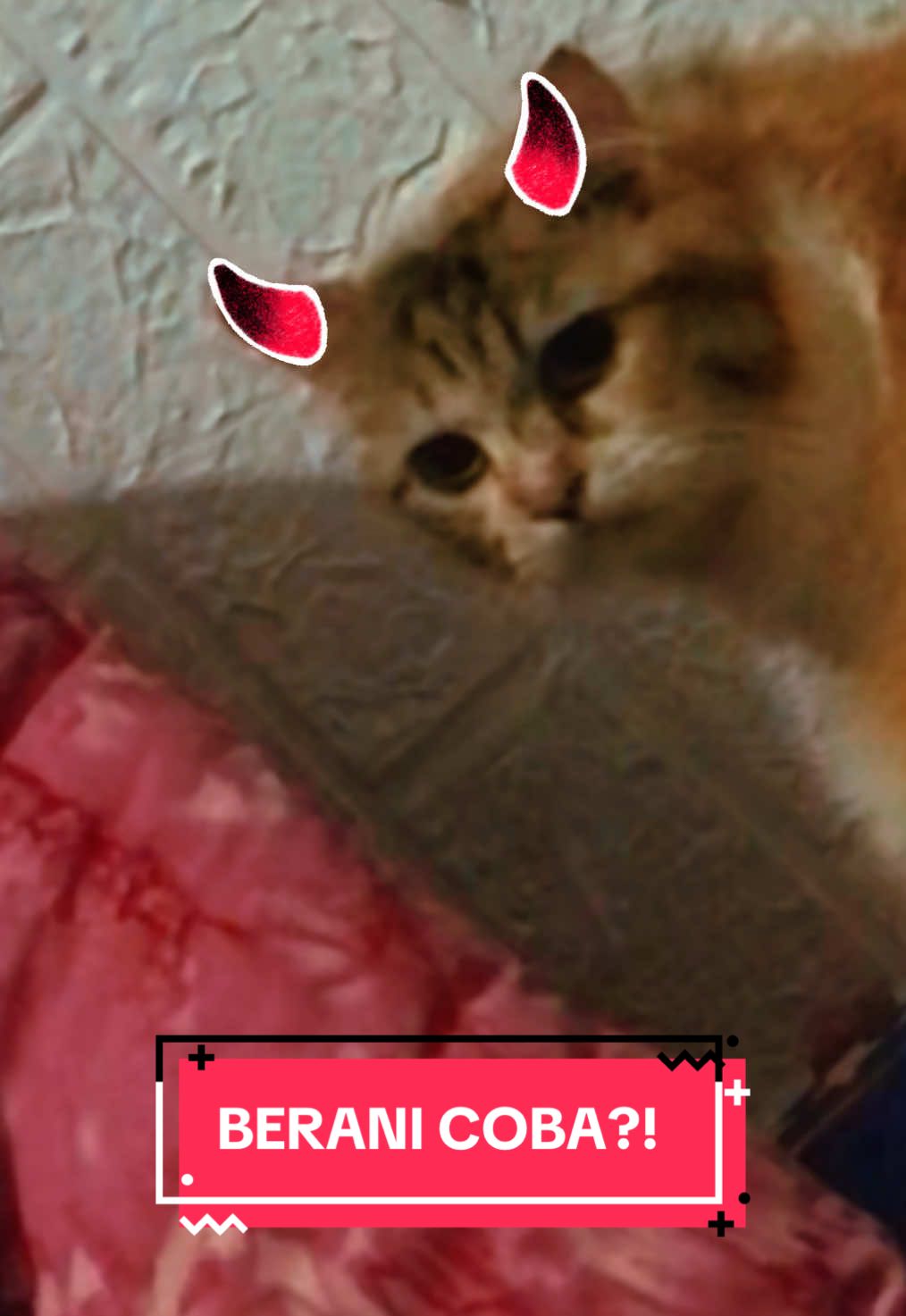 @Memey Sky