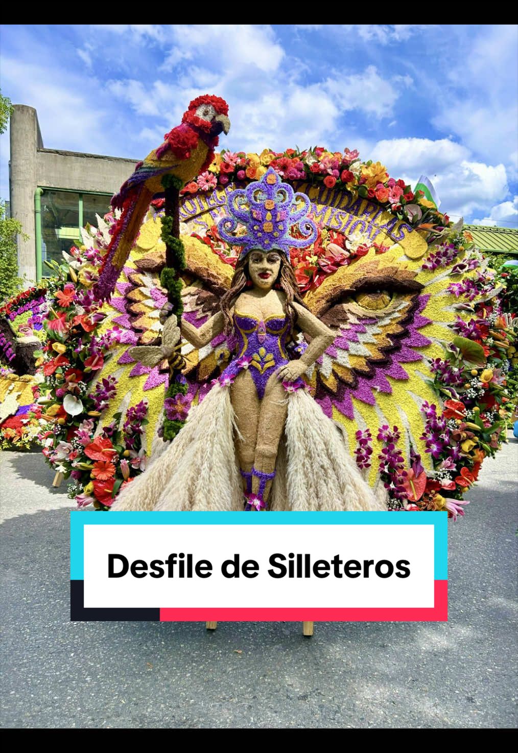 @Medellingles