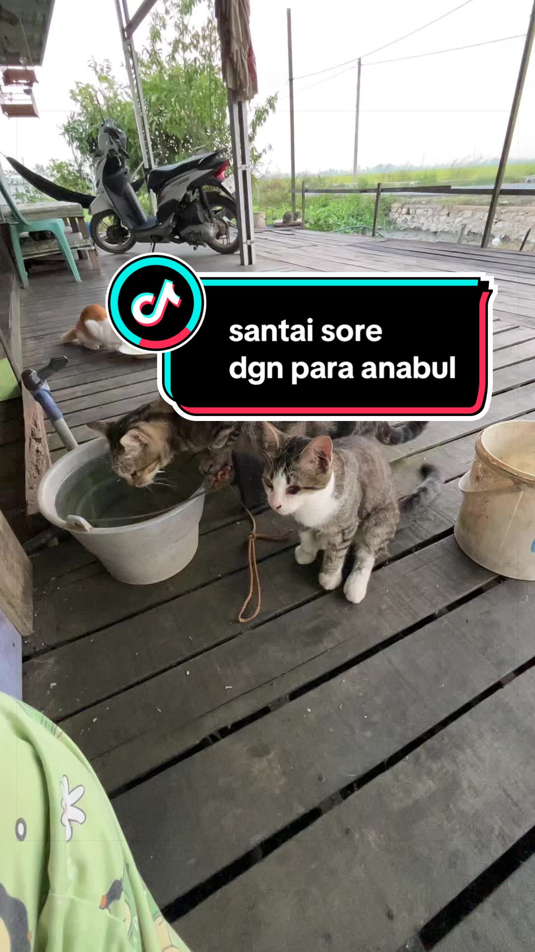 @ALuhh Kudakk