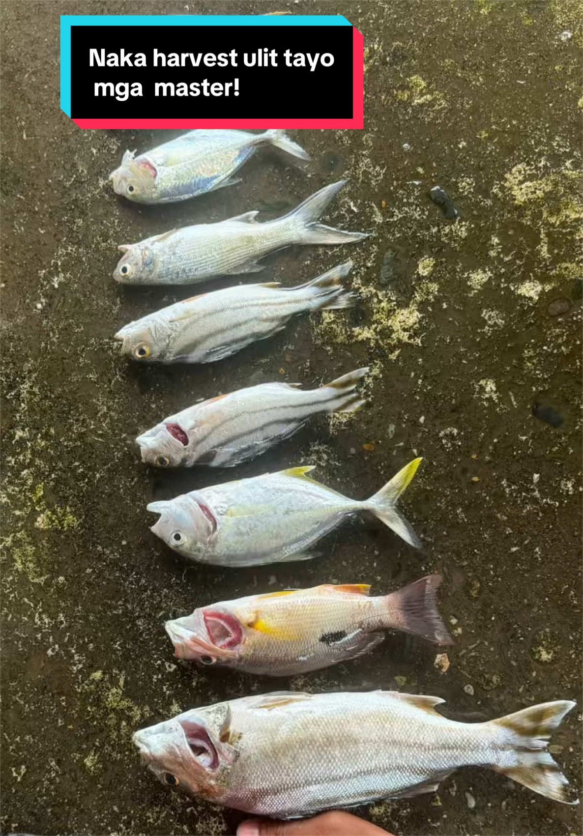 @Wilmer&rsquo;s Fishing Adventure