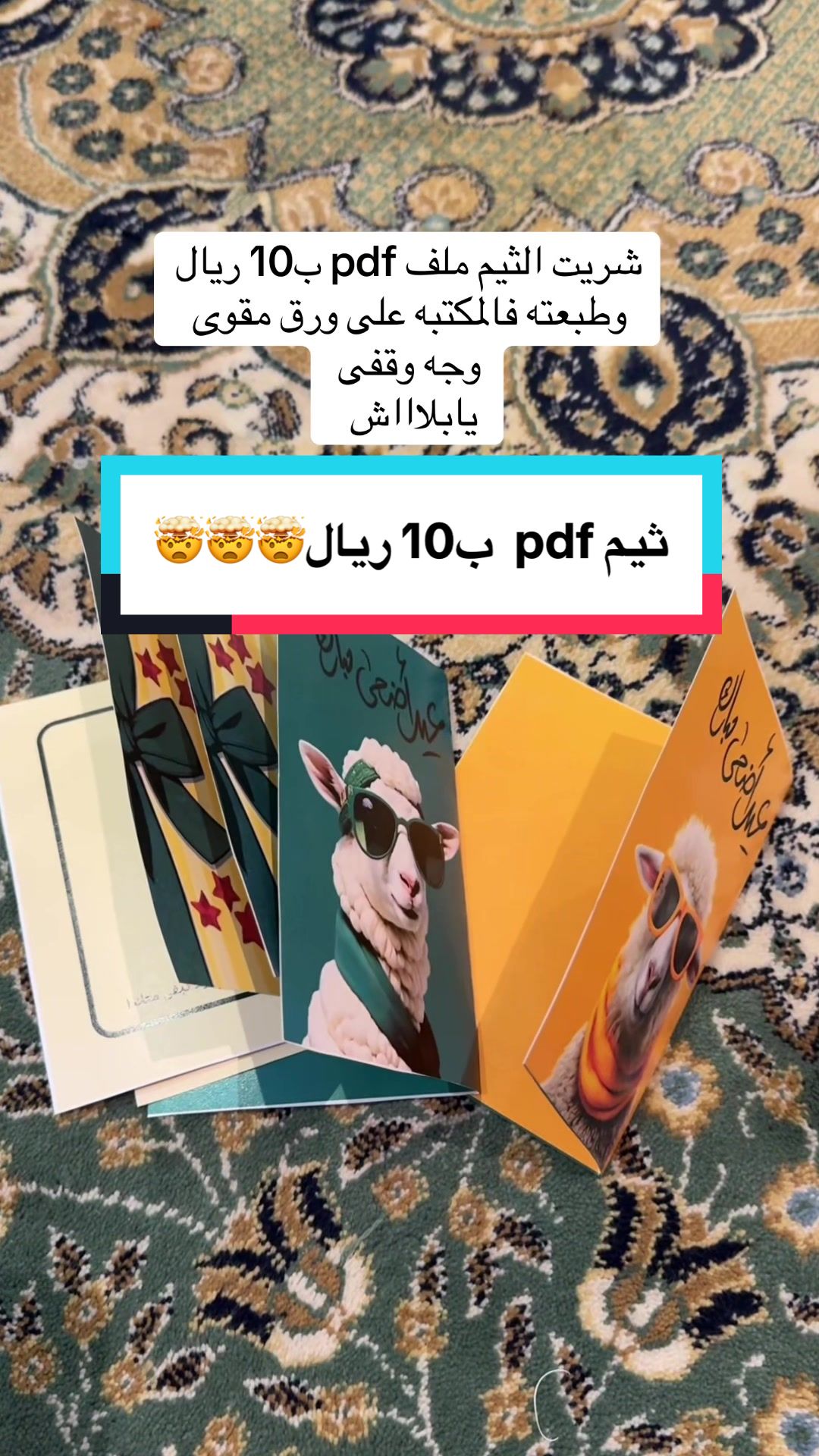 @Elara 🚀 | رحلة علم وحياة
