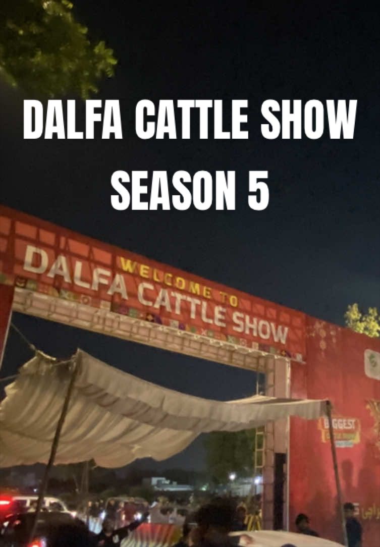 @DANIYAL🚩