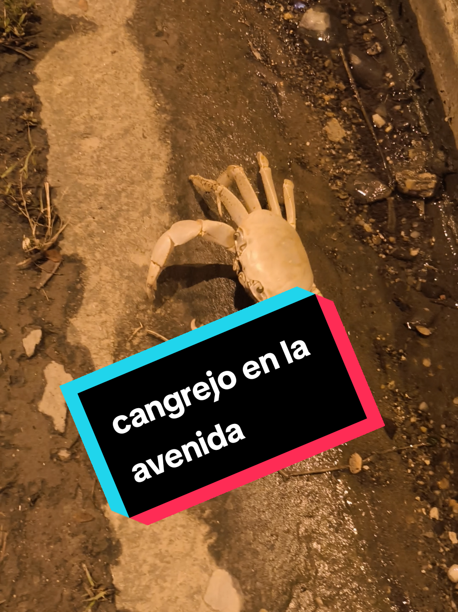 @Valero Beauty