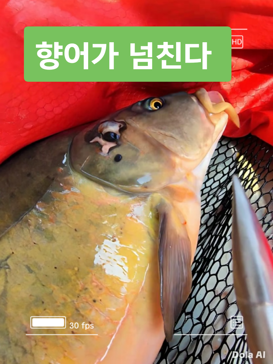 @보통남자