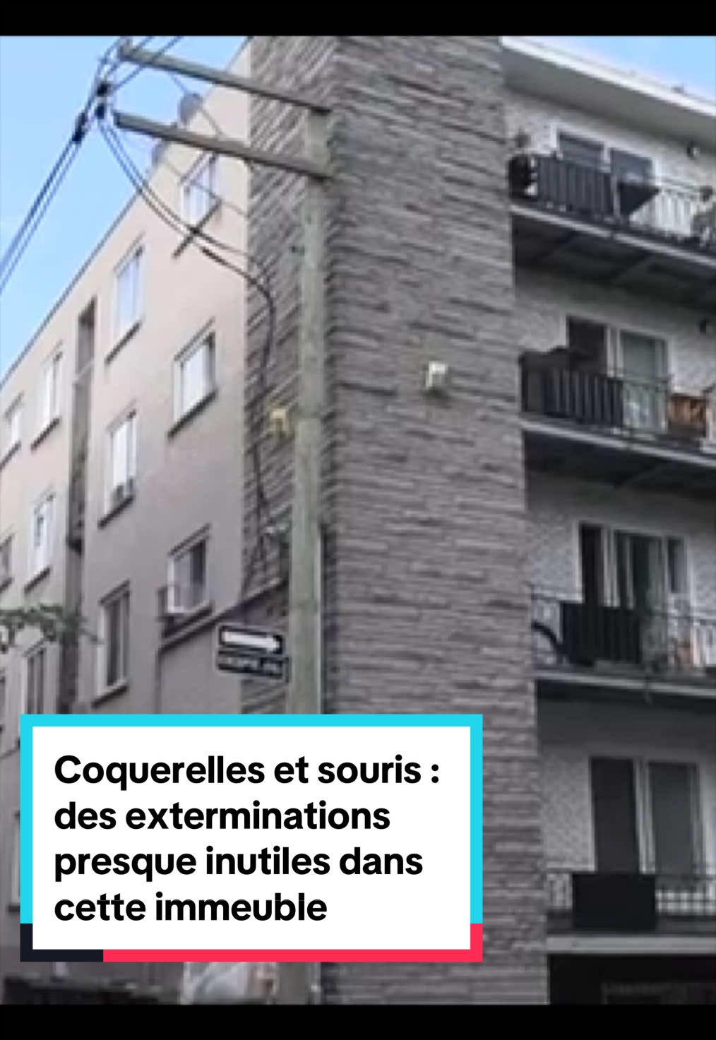 @Mouvement Montr&eacute;al 514