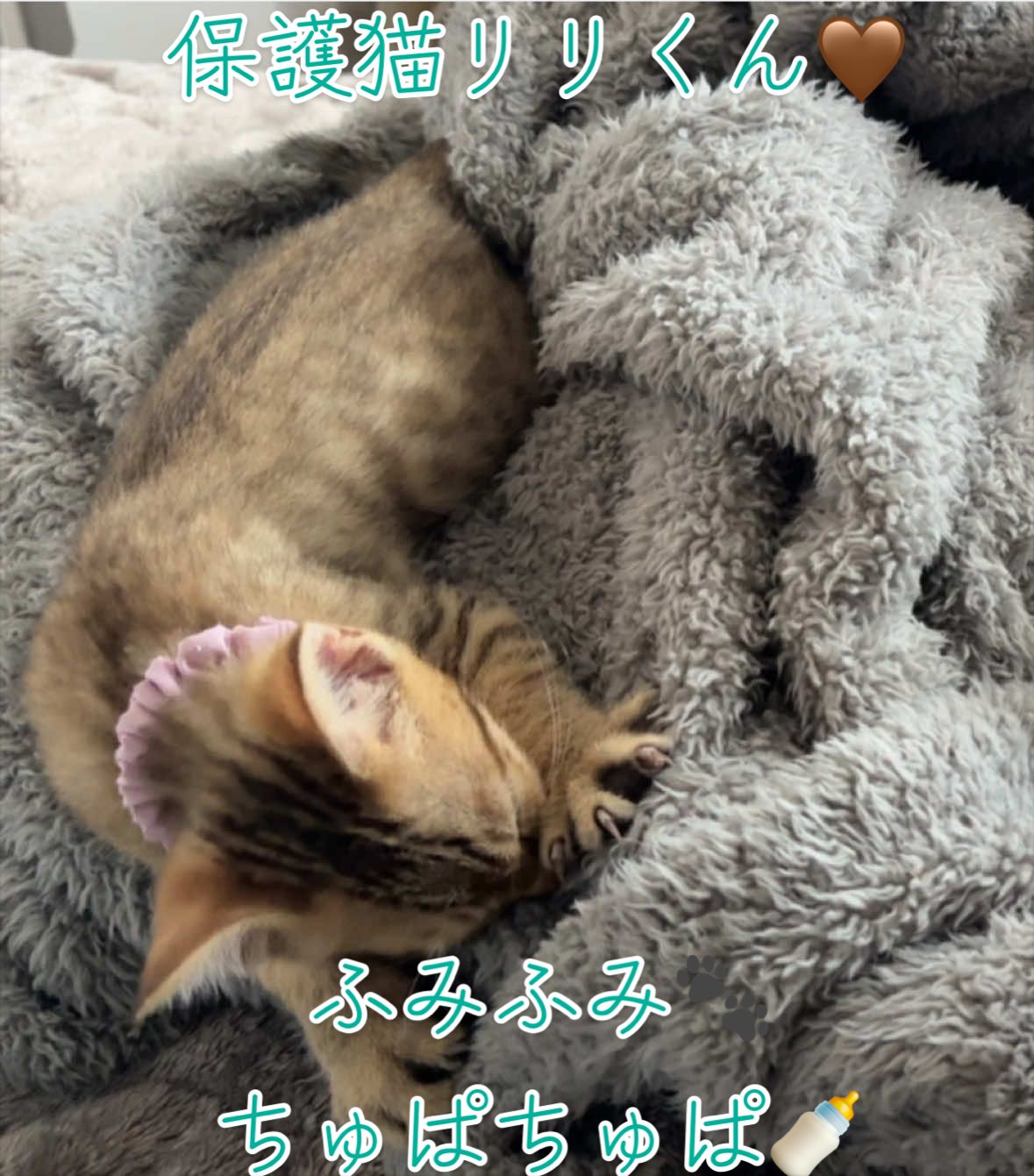 @はっぴー野郎☺︎