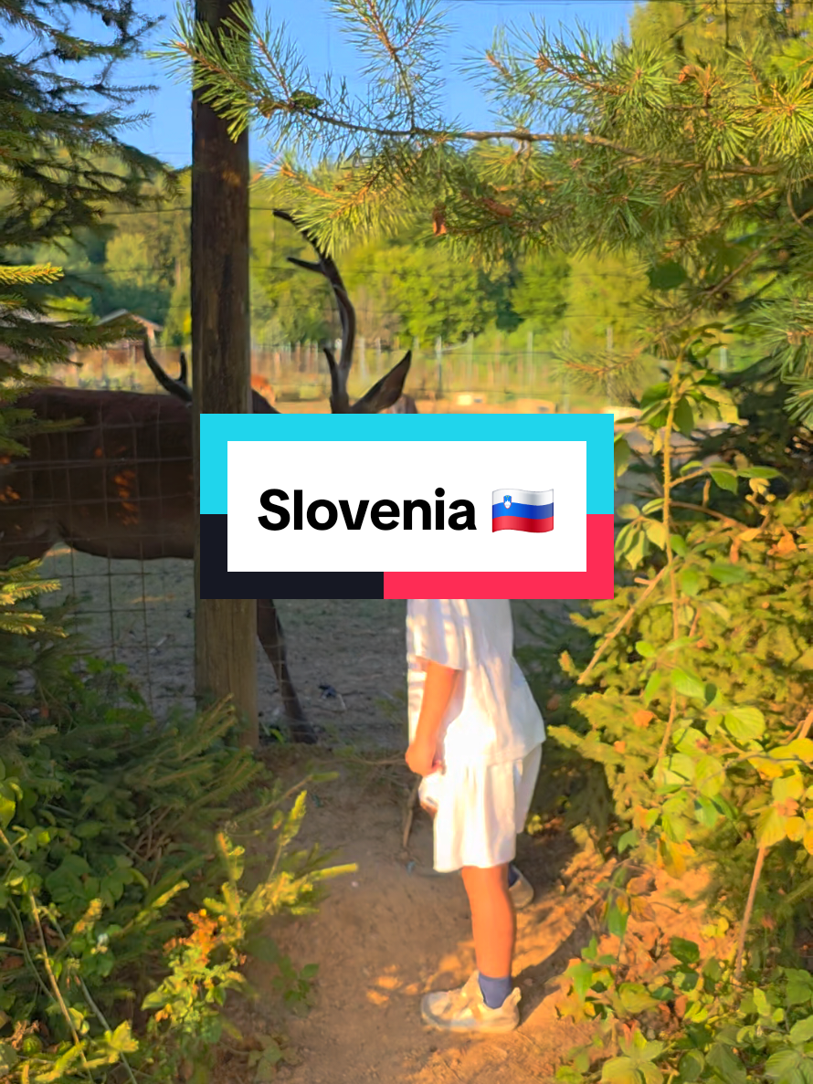 @Aleksander Levchenko