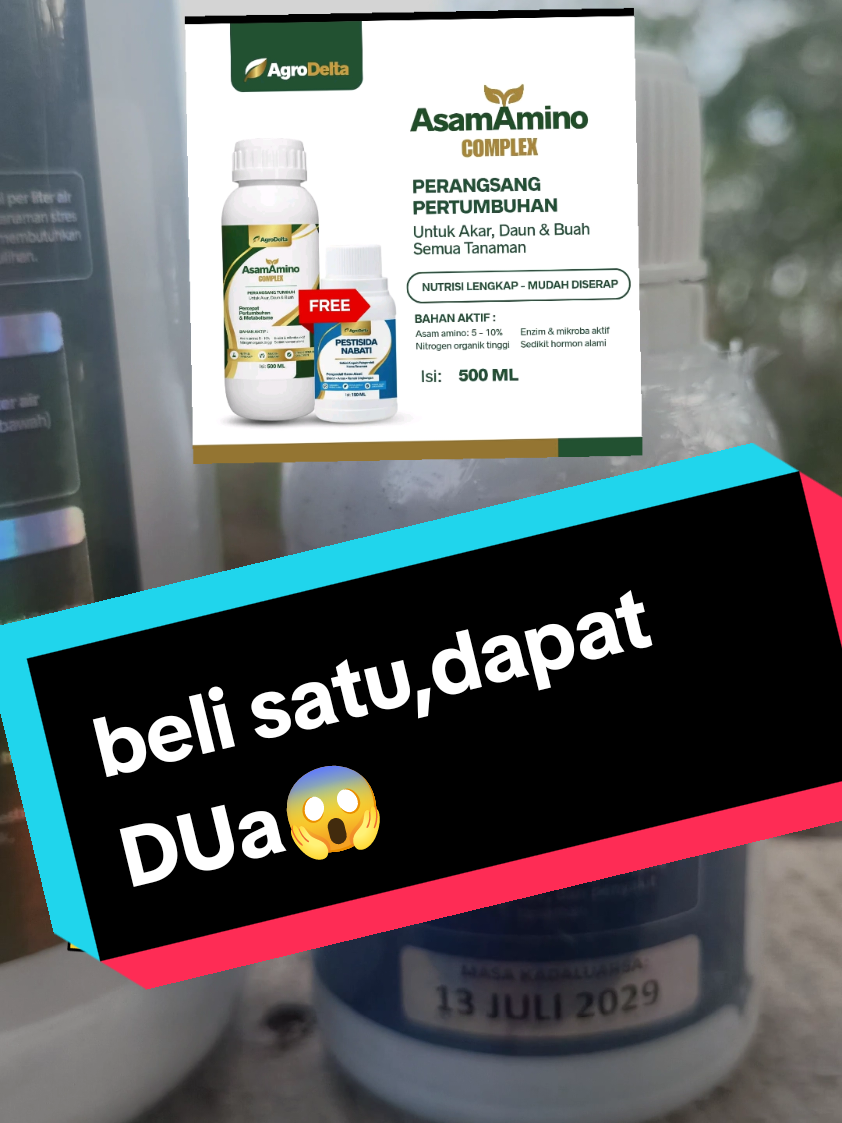 @Damar