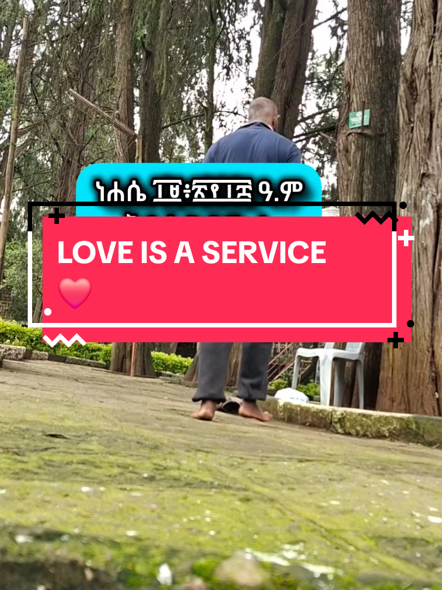 @Thomas (Tamrat)