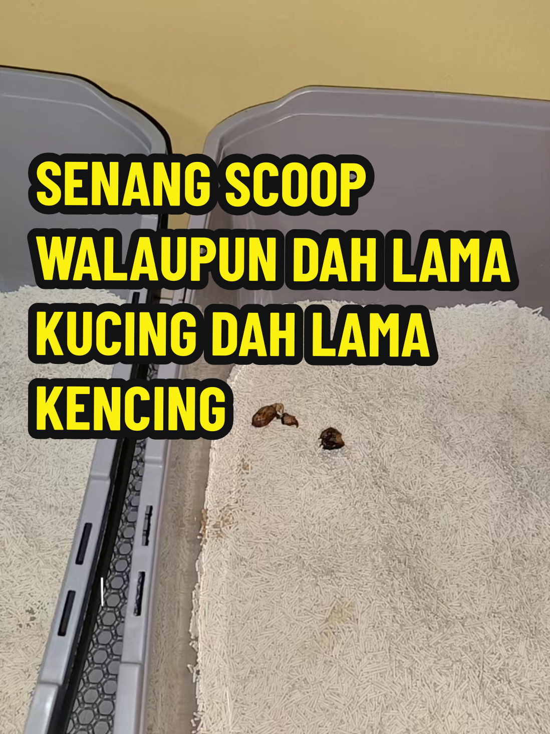 @Omma Kucing 🇲🇾🍉
