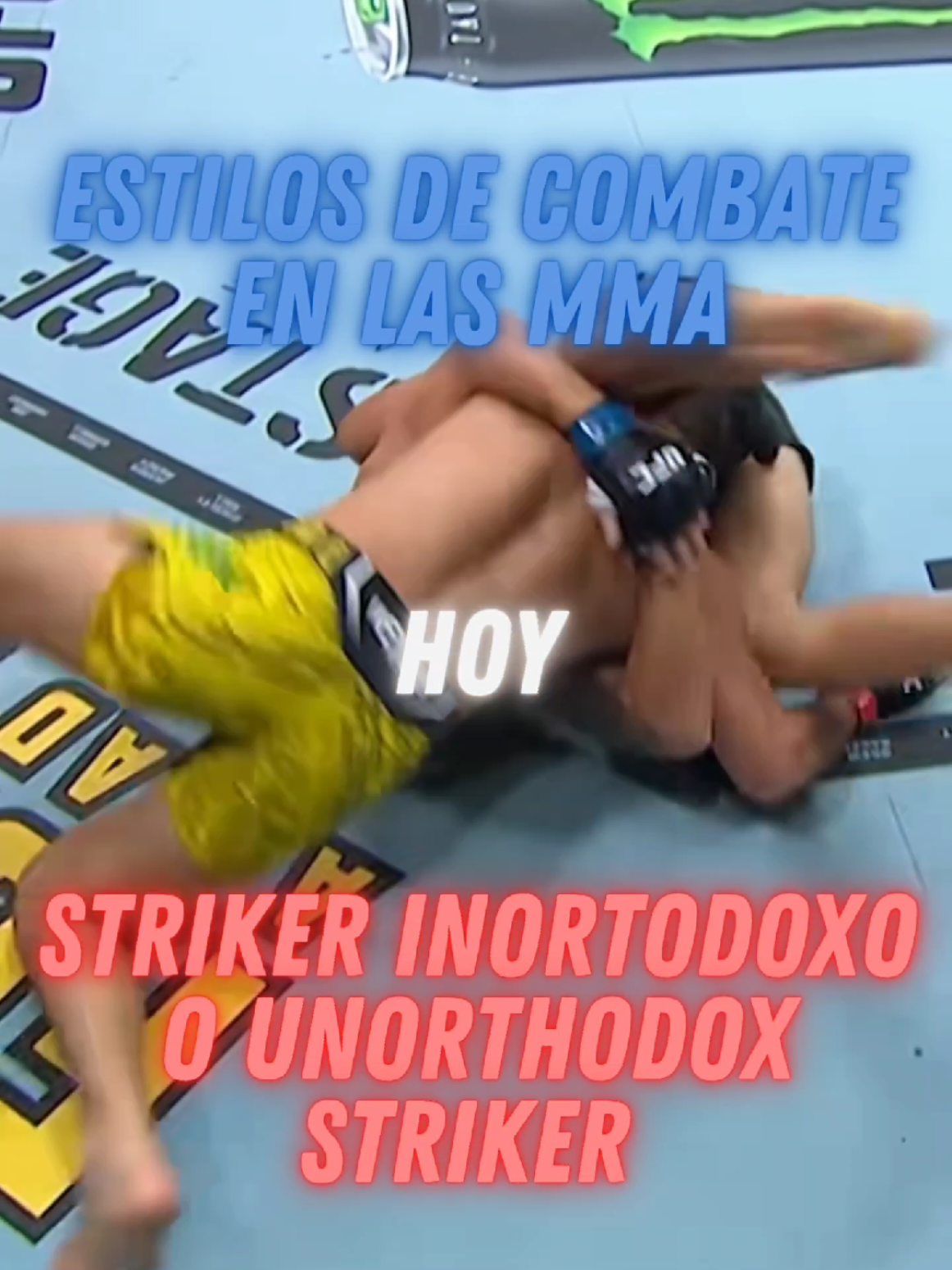 @Camilo Martial