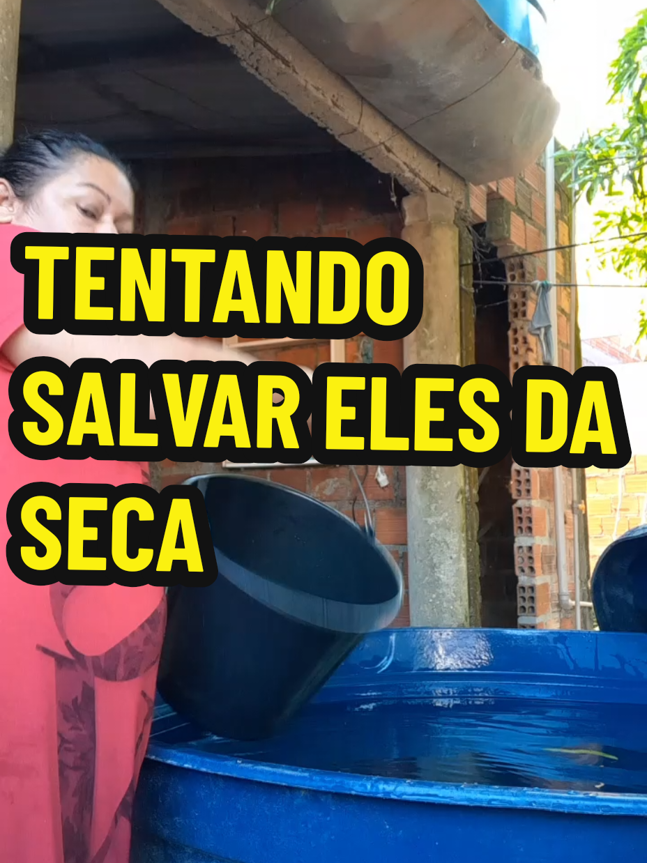 @Marinete Santos