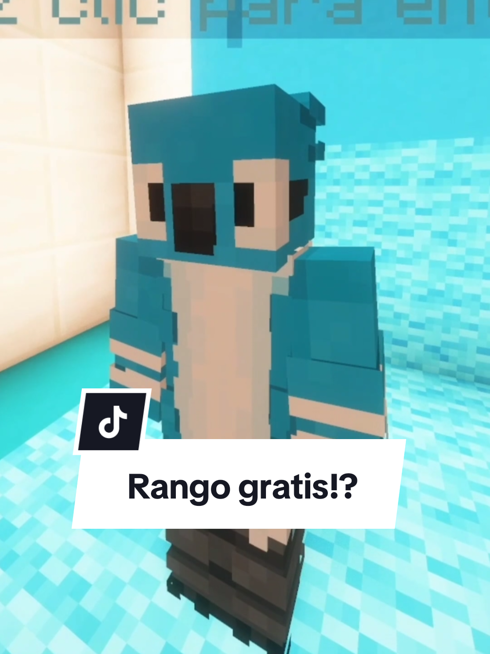 @ElChitolin