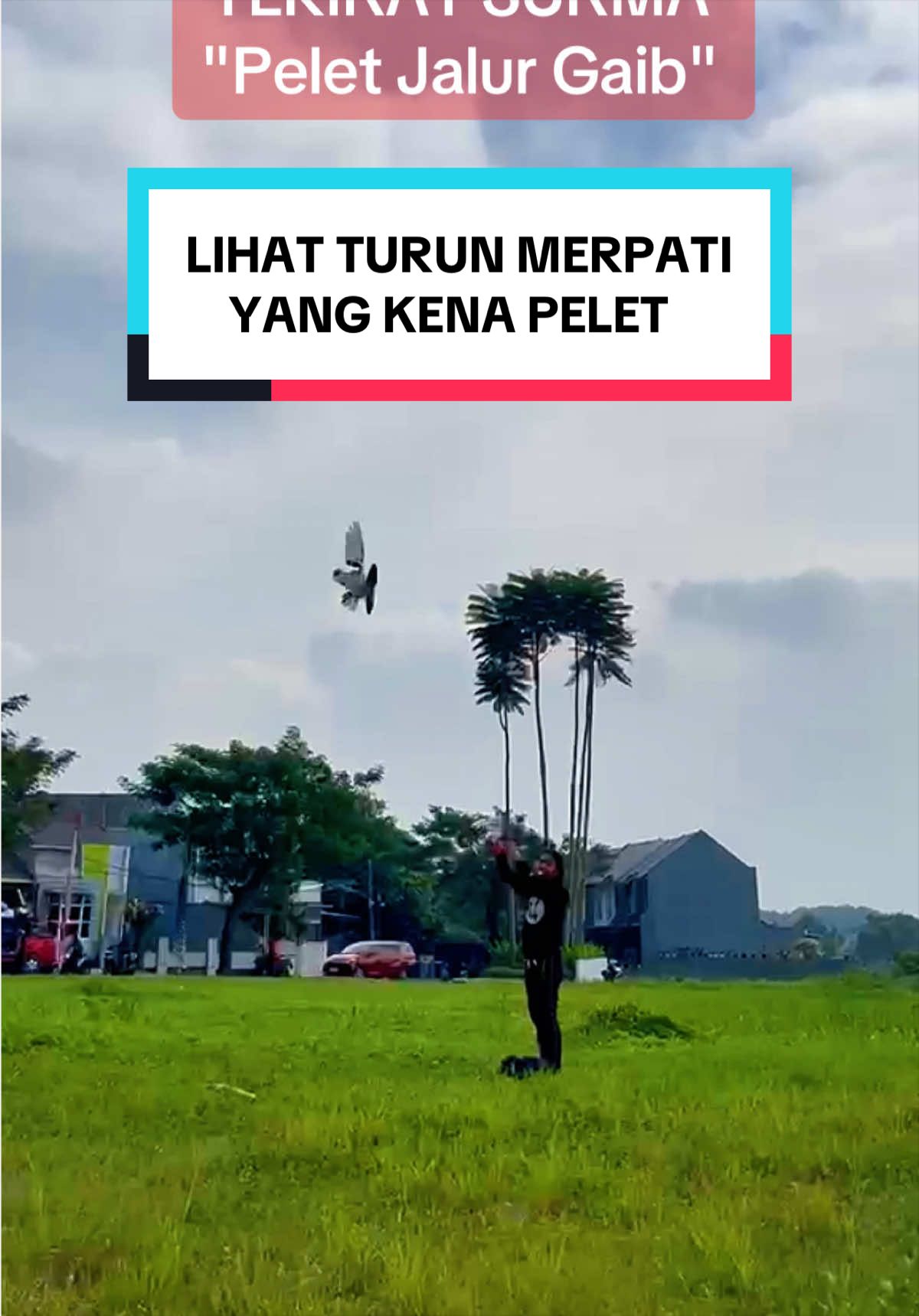 @Ki Sambung Roso